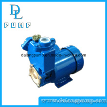 PS Series Self-Priming Clean Water Pump, Surface Pump